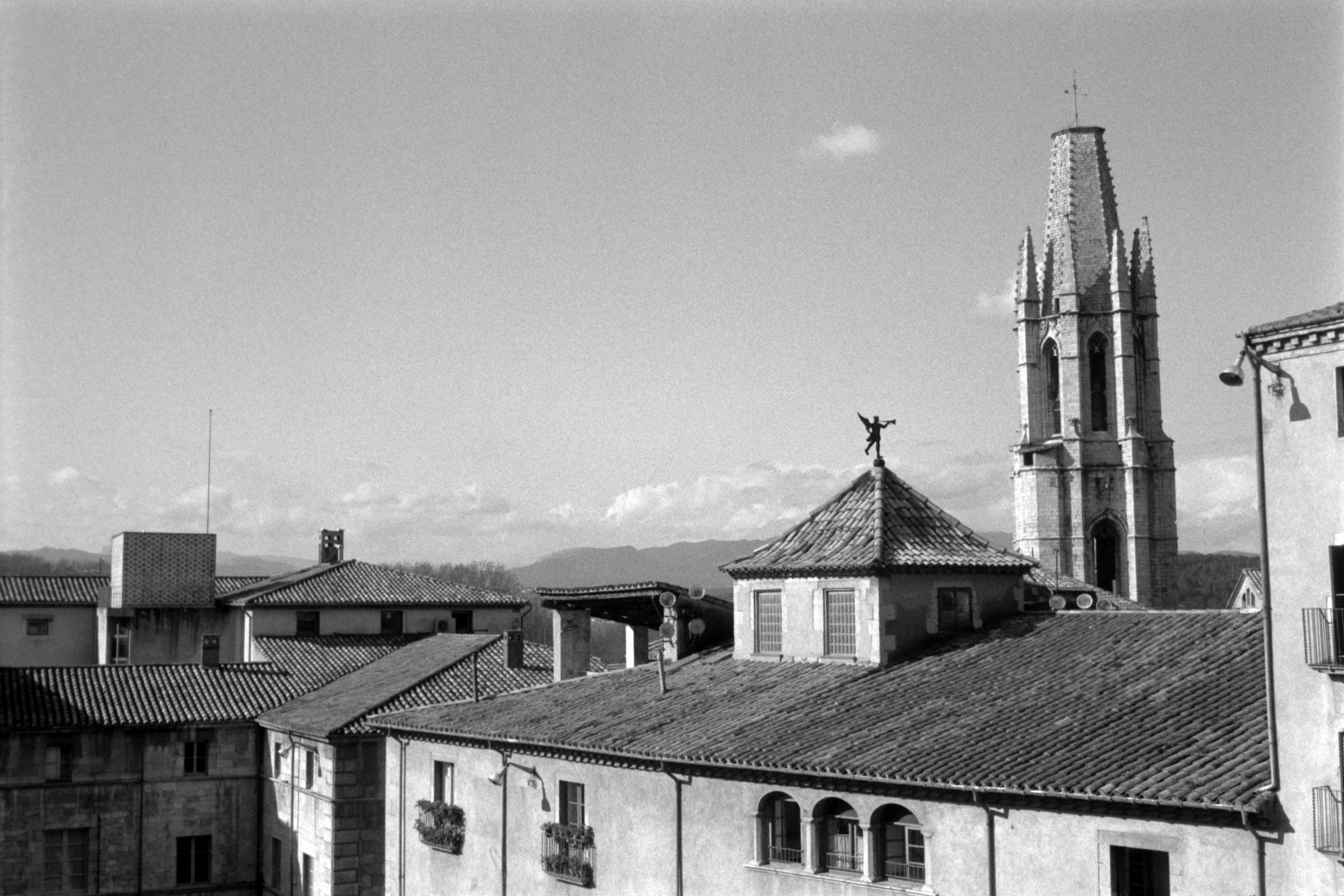 AHP F1996 02 001 sc240816 img20 NLP